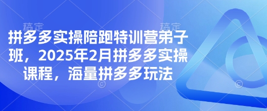 拼多多实操陪跑特训营弟子班，2025年2月拼多多实操课程，海量拼多多玩法-彼飞网创