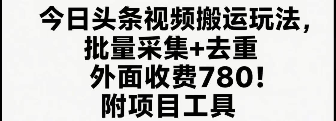今日头条视频搬运玩法，软件一键去重，轻松日入500+附项目工具-彼飞网创
