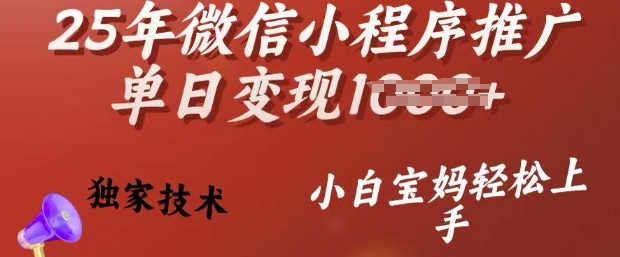 25年微信小程序推广单日变现多张，独家技术，小白宝妈轻松上手【揭秘】-彼飞网创