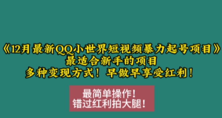 12月最新QQ小世界短视频暴力起号项目，最适合新手的项目，多种变现方式-彼飞网创
