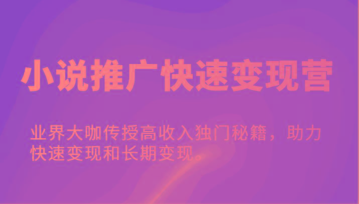小说推广快速变现营-业界大咖传授高收入独门秘籍，助力快速变现和长期变现。-彼飞网创