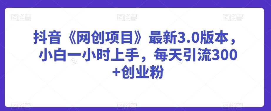 抖音《网创项目》最新3.0版本，小白一小时上手，每天引流300+创业粉【揭秘】-彼飞网创