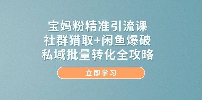 宝妈粉精准引流课，社群猎取+闲鱼爆破，私域批量转化全攻略-彼飞网创