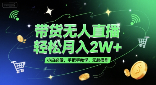 带货无人直播，轻松月入2W+，小白必做，手把手教学，无脑操作(附学习资料)-彼飞网创