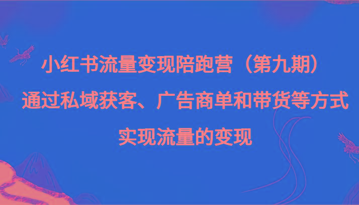小红书流量变现陪跑营（第九期）通过私域获客、广告商单和带货等方式实现流量变现-彼飞网创