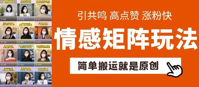 简单搬运，情感矩阵玩法，涨粉速度快，可带货，可起号【揭秘】-彼飞网创