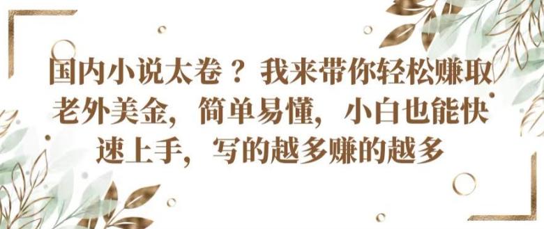 国内小说太卷 ?带你轻松赚取老外美金，简单易懂，小白也能快速上手，写的越多赚的越多【揭秘】-彼飞网创
