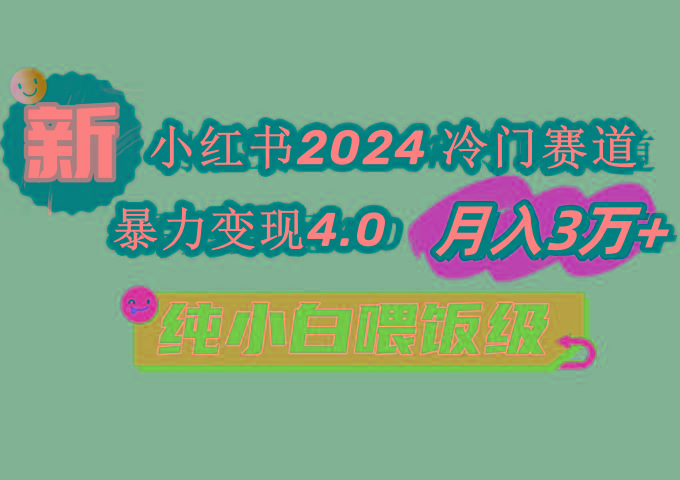 小红书2024冷门赛道 月入3万+ 暴力变现4.0 纯小白喂饭级-彼飞网创