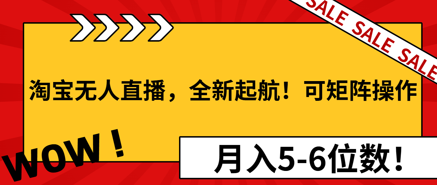 淘宝无人直播，全新起航！可矩阵操作，月入5-6位数！-彼飞网创