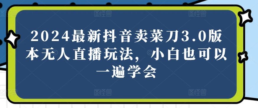 2024最新抖音卖菜刀3.0版本无人直播玩法，小白也可以一遍学会【揭秘】-彼飞网创