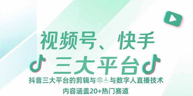 视频号、快手、抖音三大平台的剪辑与数字人直播技术，内容涵盖20+热门赛道-彼飞网创