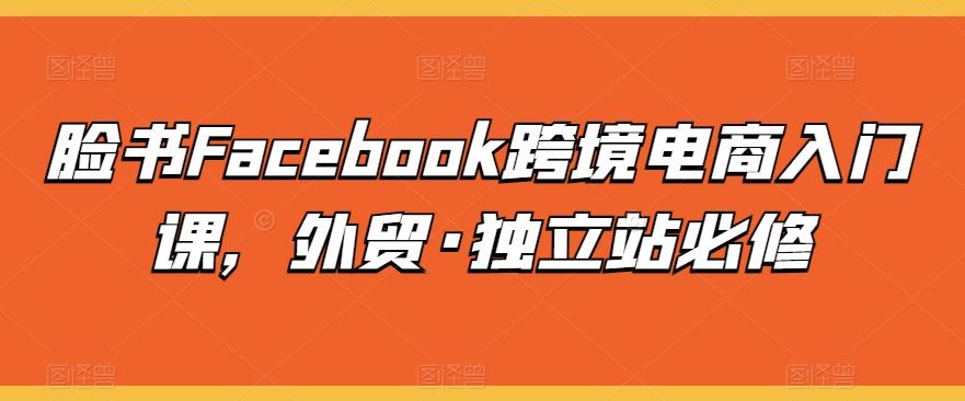 脸书Facebook跨境电商入门课，外贸·独立站必修-彼飞网创