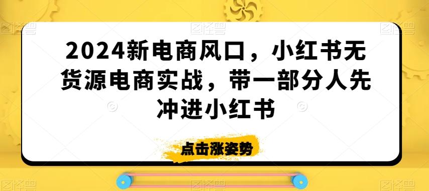 2024新电商风口，小红书无货源电商实战，带一部分人先冲进小红书-彼飞网创