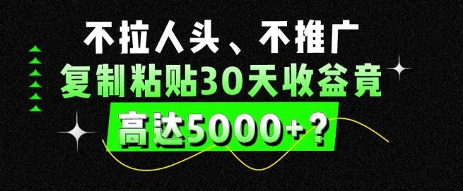 不拉人头、不推广，复制粘贴30天收益竟高达5000+？-彼飞网创