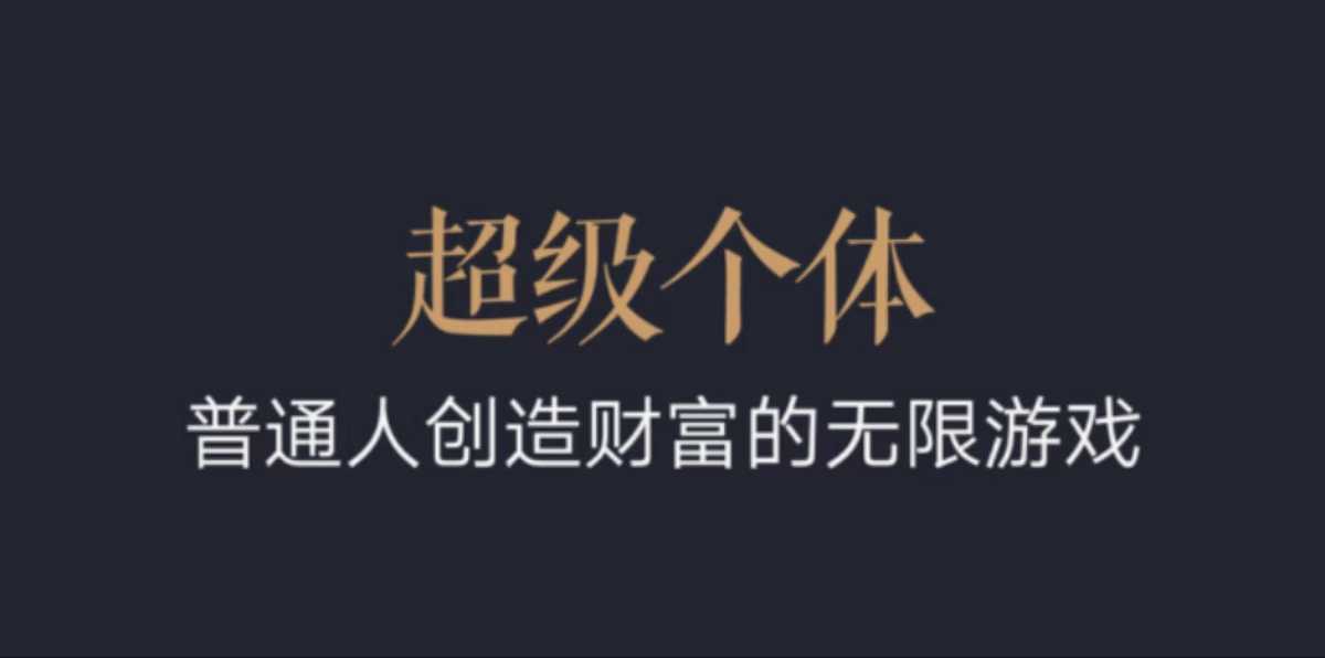 超级个体：2024-2025翻盘指南，普通人创造财富的无限游戏-彼飞网创