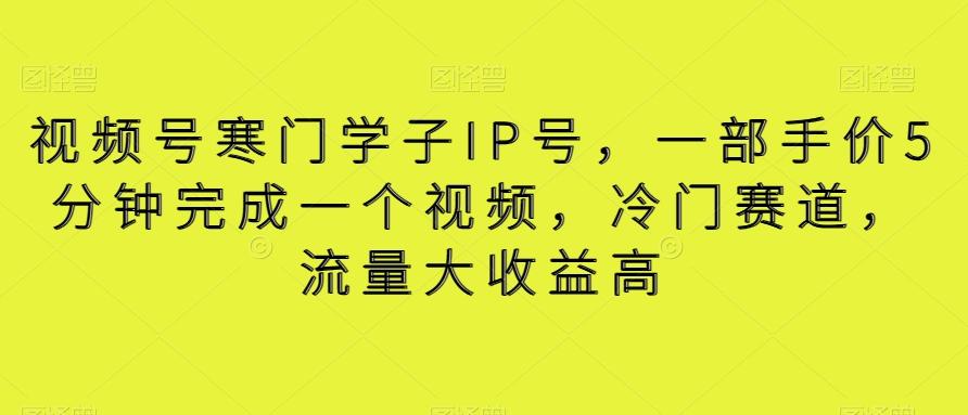 视频号寒门学子IP号，一部手价5分钟完成一个视频，冷门赛道，流量大收益高【揭秘】-彼飞网创
