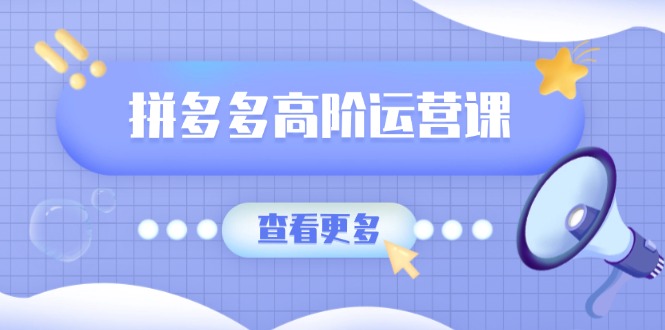 拼多多高阶运营课：极致群爆款玩法，轻付费无尽复制，打造单品爆款之路-彼飞网创