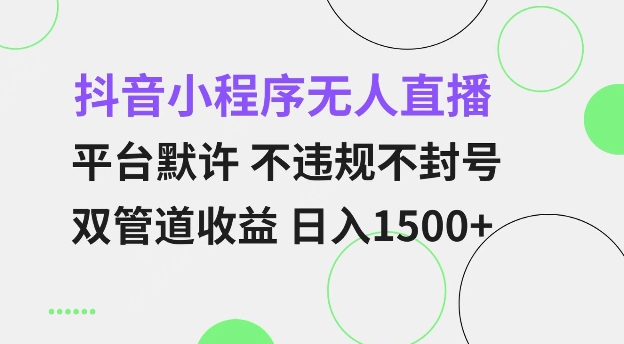 抖音小程序无人直播 平台默许 不违规不封号 双管道收益 日入多张 小白也能轻松操作【仅揭秘】-彼飞网创