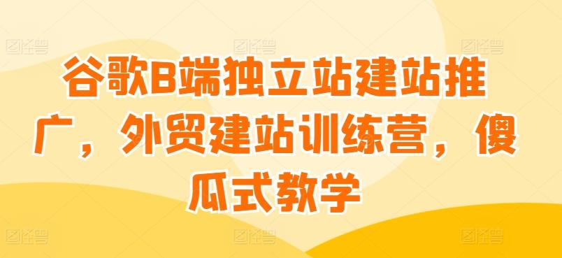 谷歌B端独立站建站推广，外贸建站训练营，傻瓜式教学-彼飞网创