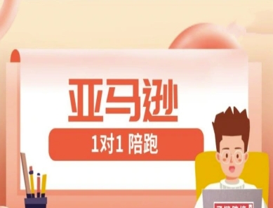 亚马逊1对1陪跑课(FBA/FBM精铺)跨境亚马逊教程-彼飞网创