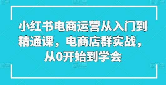 小红书电商运营从入门到精通课，电商店群实战，从0开始到学会-彼飞网创