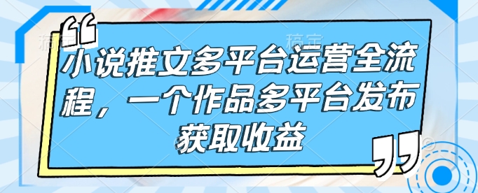 小说推文多平台运营全流程，一个作品多平台发布获取收益-彼飞网创