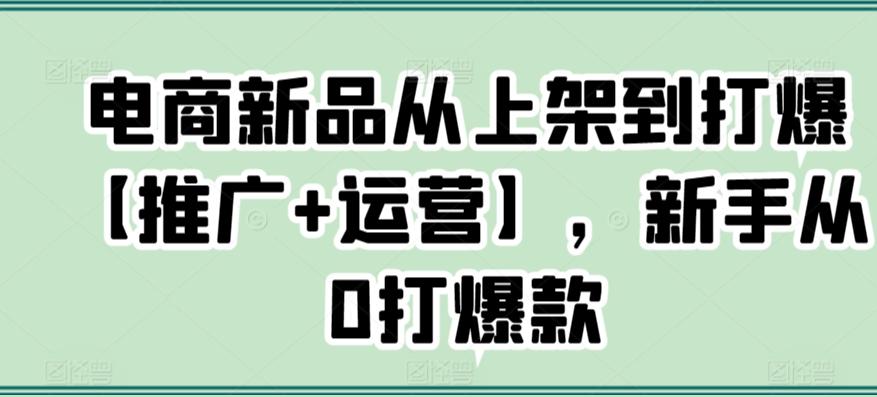电商新品从上架到打爆【推广+运营】，新手从0打爆款-彼飞网创