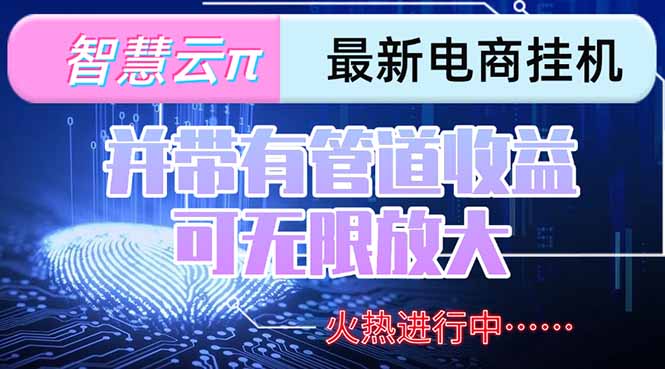 智慧云π电脑挂机单机每天收益300—500+ 并带有团队管道收益 可无限放大-彼飞网创