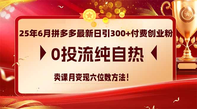25年6月拼多多最新日引300+付费创业粉，0投流纯自热 卖课月变现六位数方法-彼飞网创