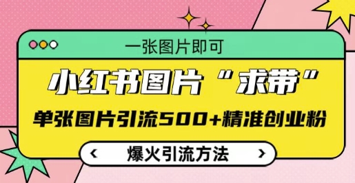 小红书图片‘求带’爆火引流法，单张图片引流500+精准创业粉【揭秘】-彼飞网创