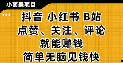 小而美的项目，抖音小红书B站视频点赞、关注、评论就能挣钱，简单无脑立见收益，妥妥的零撸项目【揭秘】-彼飞网创