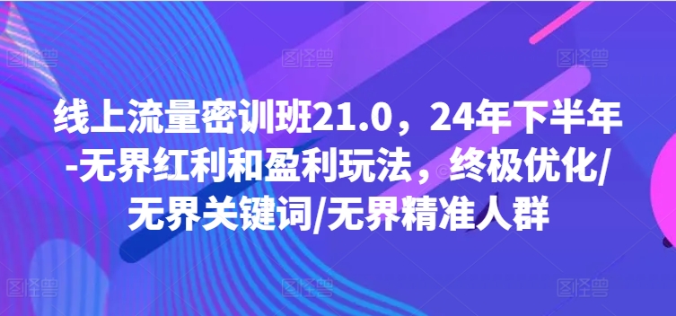 线上流量密训班21.0，24年下半年-无界红利和盈利玩法，终极优化/无界关键词/无界精准人群-彼飞网创
