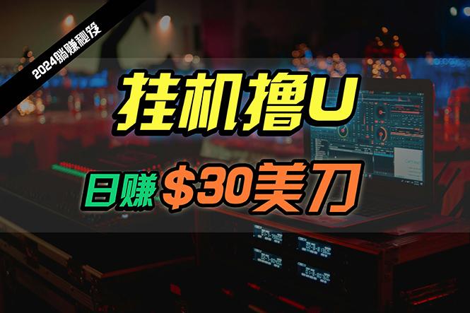 (10013期)日赚30美刀，2024最新海外挂机撸U内部项目，全程无人值守，可批量放大-彼飞网创