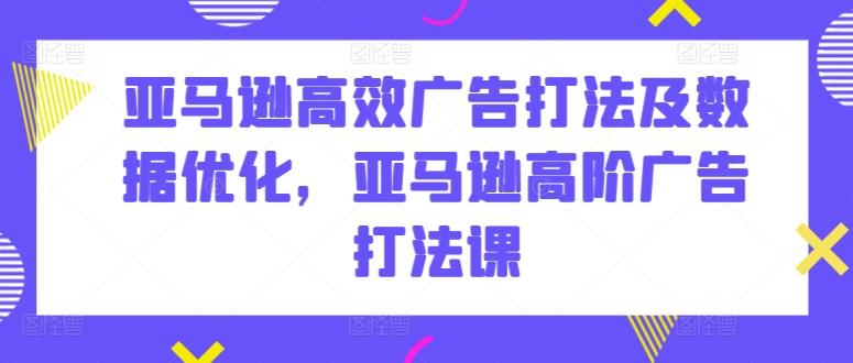 亚马逊高效广告打法及数据优化，亚马逊高阶广告打法课-彼飞网创