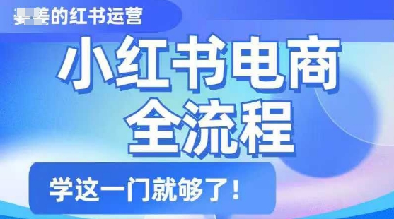 小红书电商全流程，精简易懂，从入门到精通，学这一门就够了-彼飞网创