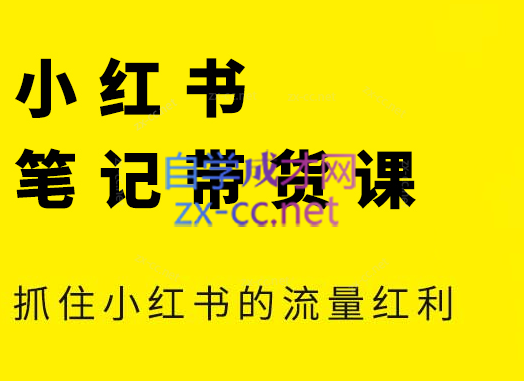 张宾·小红书笔记带货课(更新5月)-彼飞网创