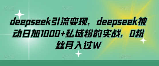 deepseek引流变现，deepseek被动日加1000+私域粉的实战，0粉丝月入过W-彼飞网创