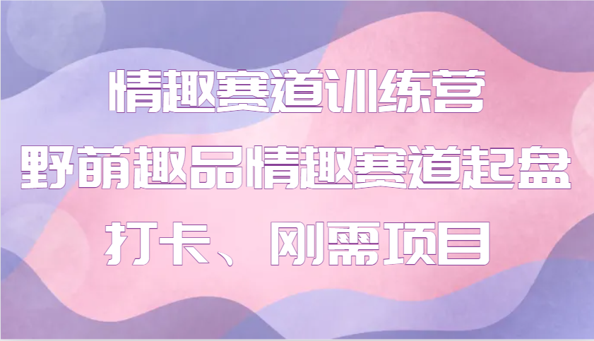 情趣赛道训练营 野萌趣品情趣赛道起盘打卡、刚需项目-彼飞网创