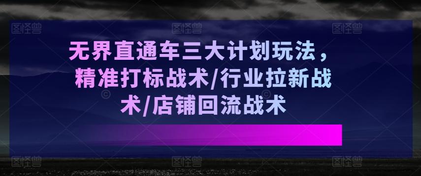 无界直通车三大计划玩法，精准打标战术/行业拉新战术/店铺回流战术-彼飞网创