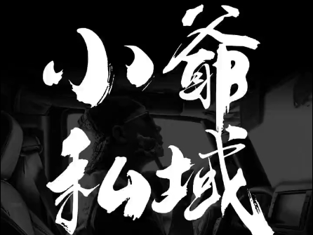小爷·私域项目操盘手-彼飞网创