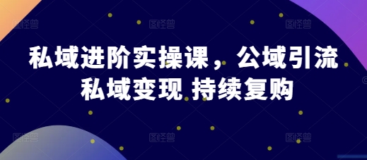私域进阶实操课，公域引流 私域变现 持续复购-彼飞网创