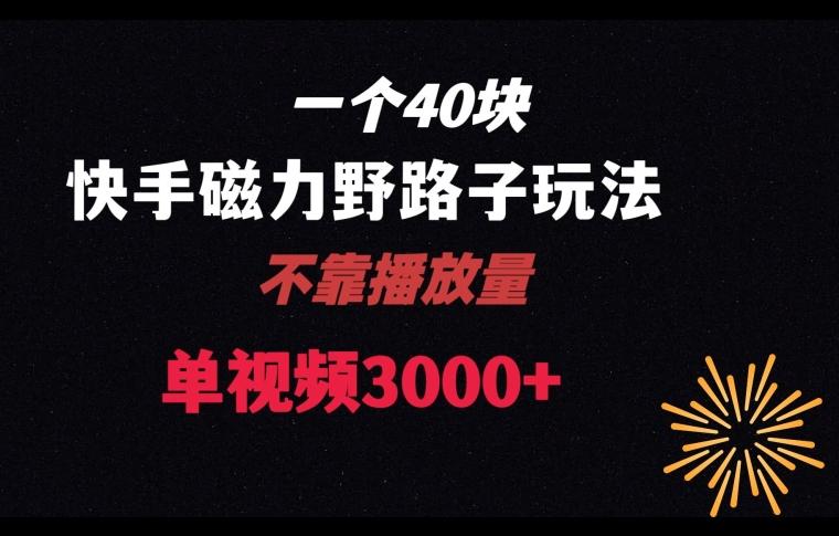 一个40块，快手联合美团磁力新玩法，无视机制野路子玩法，单视频收益4位数【揭秘】-彼飞网创