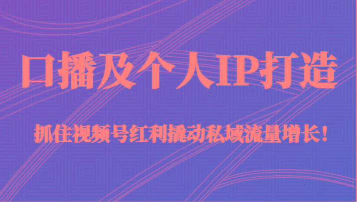 口播及个人IP打造，抓住视频号红利撬动私域流量增长！（45节课）-彼飞网创