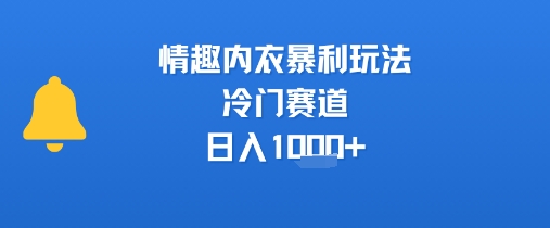 情趣内衣暴利玩法，冷门赛道，日入1k+-彼飞网创