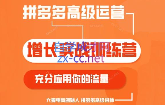 大麦老师·拼多多单品爆款打造课程(更新6月)-彼飞网创