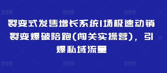 裂变式发售增长系统1场极速动销裂变爆破陪跑(闯关实操营)，引爆私域流量-彼飞网创