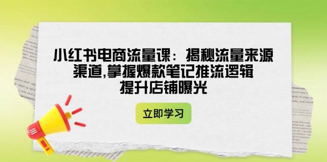 小红书电商流量课：揭秘流量来源渠道,掌握爆款笔记推流逻辑,提升店铺曝光-彼飞网创