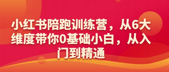 小红书陪跑训练营，从6大维度带你0基础小白，从入门到精通-彼飞网创