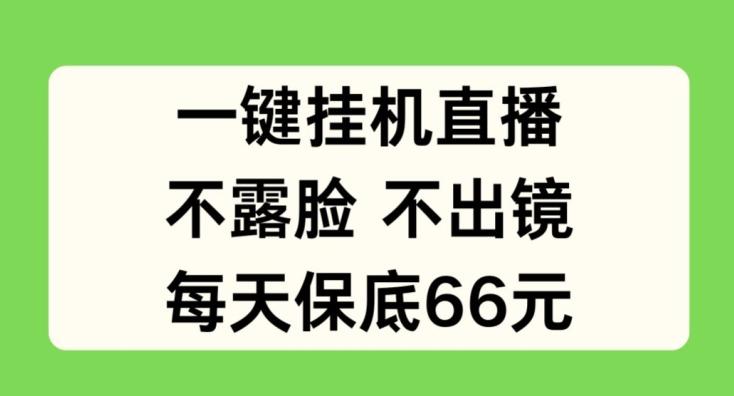 一键挂JI直播，不露脸不出境，每天保底66元【揭秘】-彼飞网创