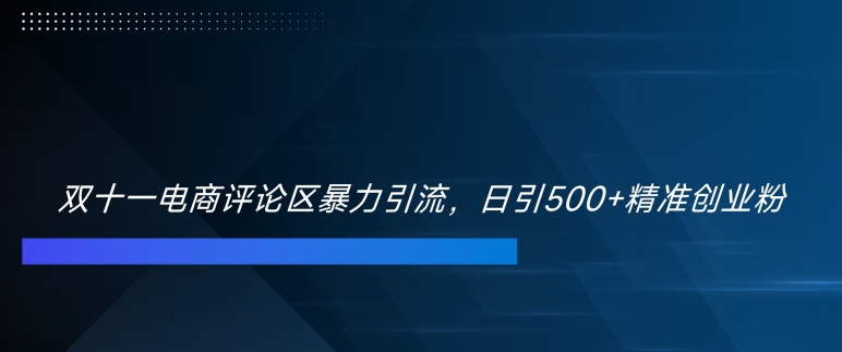 双十一电商评论区暴力引流，日引500+精准创业粉【揭秘】-彼飞网创